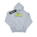 Pikkukuva 1 / 5: DC Comics Boys Batman Crackle Logo Hoodie