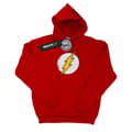 Miniatyrbillede 1 af 5: DC Comics Boys Flash Distressed Logo Hoodie