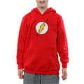 Miniatyrbillede 3 af 5: DC Comics Boys Flash Distressed Logo Hoodie