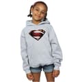 Miniatyrbild 2 av 5: DC Comics Justice League Movie Superman Emblem Hoodie för tjejer