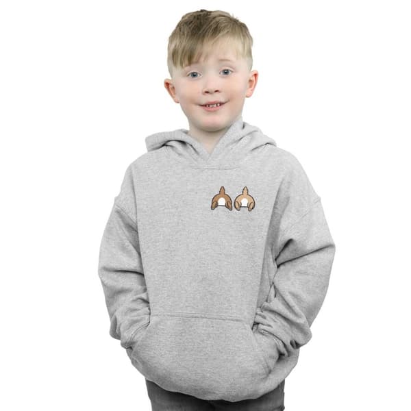 Disney Boys Chip N Dale Backside Breast Print Hoodie