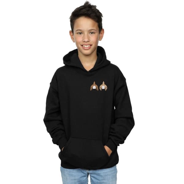 Disney Boys Chip N Dale Backside Breast Print Hoodie