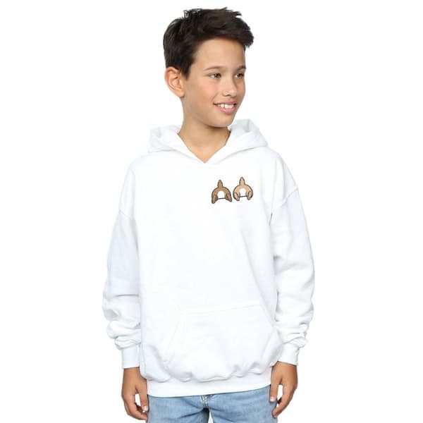 Disney Boys Chip N Dale Backside Breast Print Hoodie
