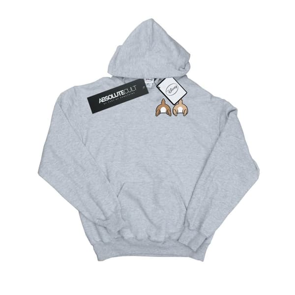 Disney Boys Chip N Dale Backside Breast Print Hoodie