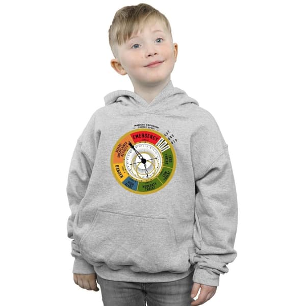 Fantastic Beasts Boys Threat Level Hoodie
