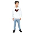 Miniatyrbild 4 av 5: DC Comics Pojkar Justice League Movie Superman Emblem Hoodie