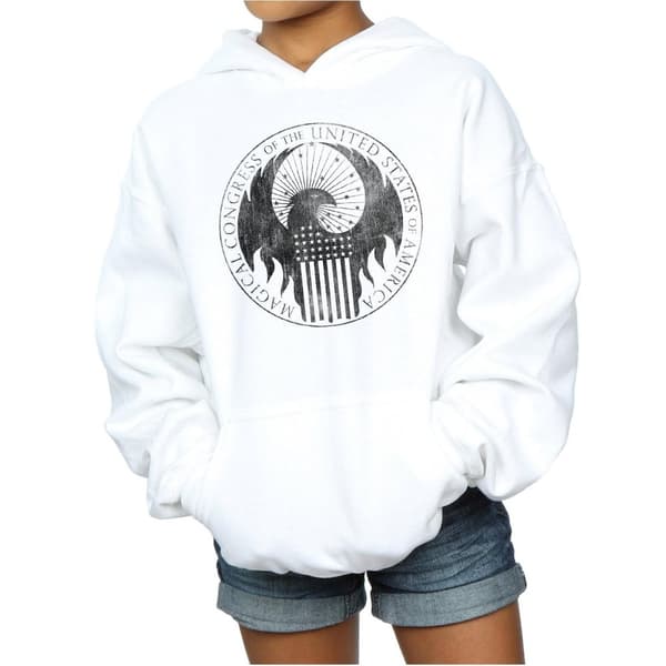 Fantastic Beasts Girls Distressed Magical Congress Hoodie