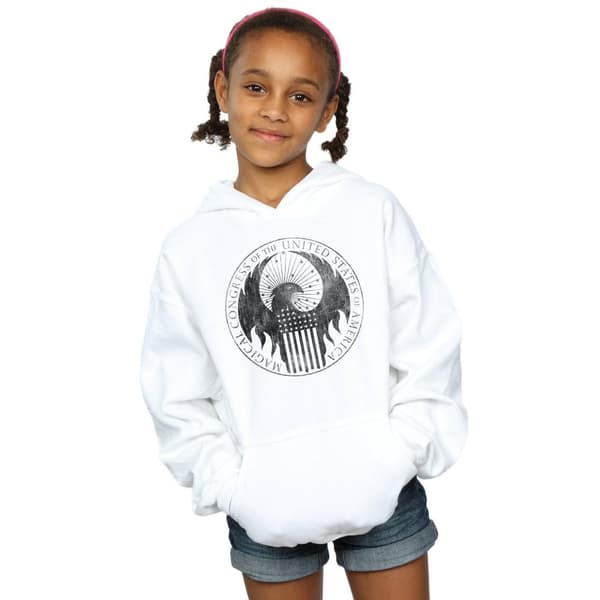 Fantastic Beasts Girls Distressed Magical Congress Hoodie