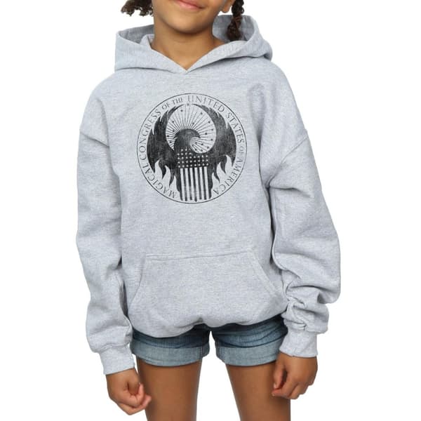 Fantastic Beasts Girls Distressed Magical Congress Hoodie
