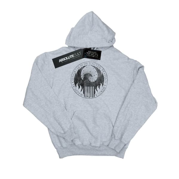 Fantastic Beasts Girls Distressed Magical Congress Hoodie