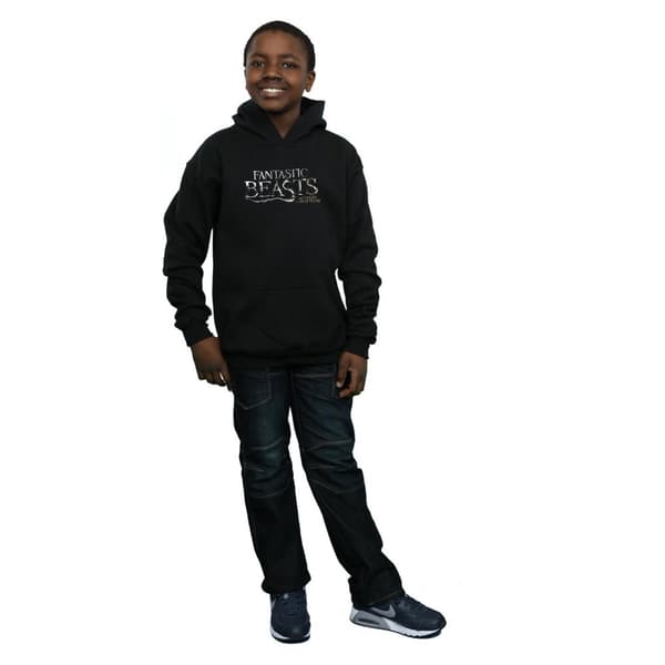 Fantastic Beasts Boys Text Logo Hoodie