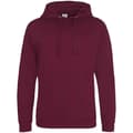 Pikkukuva 1 / 2: Awdis Womens/Ladies Epic Hoodie