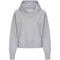 Miniatyrbilde 1 av 2: Awdis Womens/Ladies Heather Hoodie