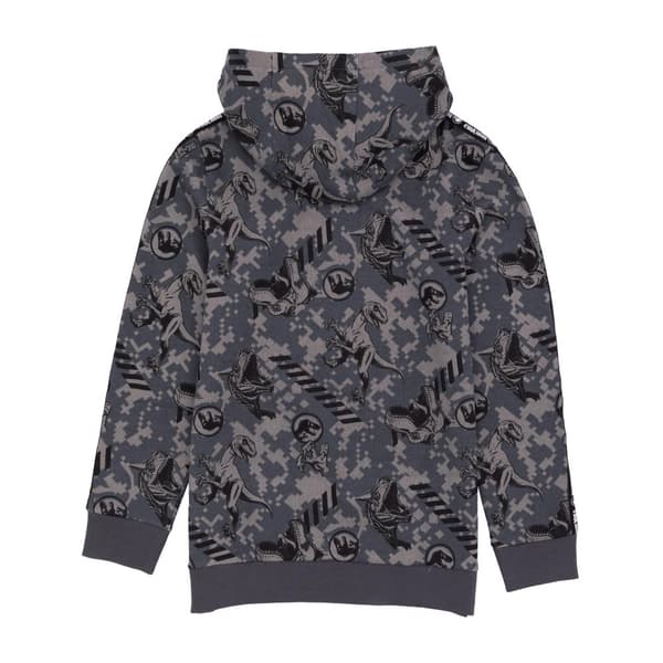 Jurassic World: Camp Cretaceous Børn/Børn Logo Hoodie