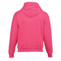 Miniatyrbillede 2 af 3: Gildan Childrens/Kids Heavy Blend Hooded Sweatshirt