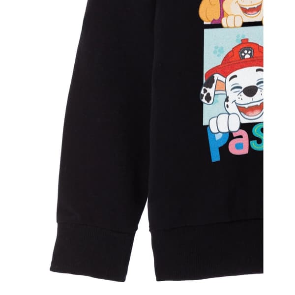 Paw Patrol Girls Smile And Pass It On Hoodie