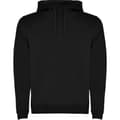 Miniatyrbilde 1 av 3: Roly Mens Urban Hoodie
