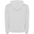 Miniatyrbilde 2 av 3: Roly Mens Urban Hoodie