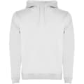 Miniatyrbilde 1 av 3: Roly Mens Urban Hoodie