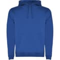Miniatyrbilde 1 av 3: Roly Mens Urban Hoodie