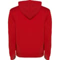 Miniatyrbilde 2 av 4: Roly Mens Urban Hoodie