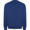 Miniatyrbillede 2 af 4: Roly Unisex Adult Batian Crew Neck Sweatshirt