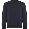 Miniatyrbillede 1 af 3: Roly Unisex Adult Batian Crew Neck Sweatshirt