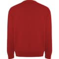Miniatyrbillede 2 af 4: Roly Unisex Adult Batian Crew Neck Sweatshirt