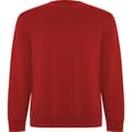 Miniatyrbillede 1 af 4: Roly Unisex Adult Batian Crew Neck Sweatshirt