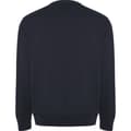 Miniatyrbillede 2 af 3: Roly Unisex Adult Batian Crew Neck Sweatshirt