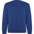 Miniatyrbillede 1 af 4: Roly Unisex Adult Batian Crew Neck Sweatshirt