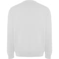 Miniatyrbillede 2 af 4: Roly Unisex Adult Batian Crew Neck Sweatshirt