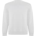 Miniatyrbillede 1 af 4: Roly Unisex Adult Batian Crew Neck Sweatshirt