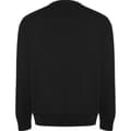 Miniatyrbillede 2 af 4: Roly Unisex Adult Batian Crew Neck Sweatshirt