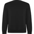 Miniatyrbillede 1 af 4: Roly Unisex Adult Batian Crew Neck Sweatshirt