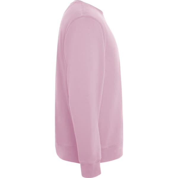 Roly Unisex Adult Batian Crew Neck Sweatshirt