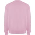 Miniatyrbillede 2 af 3: Roly Unisex Adult Batian Crew Neck Sweatshirt