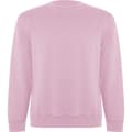 Miniatyrbillede 1 af 3: Roly Unisex Adult Batian Crew Neck Sweatshirt