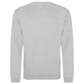 Miniatyrbild 2 av 2: Awdis Unisex Vuxen Heather Sweatshirt