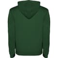 Miniatyrbild 2 av 4: Roly Urban Hoodie för herrar