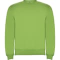 Miniatyrbillede 1 af 4: Roly Unisex Adult Clasica Crew Neck Sweatshirt