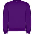 Miniatyrbillede 1 af 4: Roly Unisex Adult Clasica Crew Neck Sweatshirt