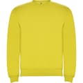 Miniatyrbild 1 av 4: Roly Unisex Vuxen Clasica Crew Neck Sweatshirt