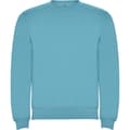 Miniatyrbillede 1 af 4: Roly Unisex Adult Clasica Crew Neck Sweatshirt