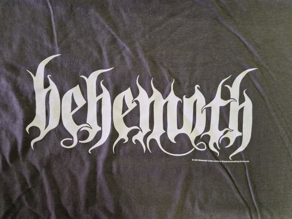 Behemoth White Logo Hoodie