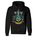 Pikkukuva 1 / 2: Harry Potter Unisex Adult Slytherin Distressed Hoodie