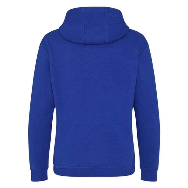 Awdis Unisex voksen hættetrøje i kraftig vægt
