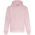 Pikkukuva 1 / 2: Awdis Unisex Adult Signature Heavyweight Hoodie
