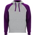 Miniatyrbild 1 av 4: Roly Unisex Vuxen Badet Two Tone Hoodie