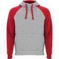 Miniatyrbillede 1 af 4: Roly Unisex Adult Badet Two Tone Hoodie